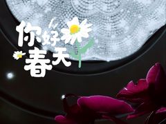 -无锡新湖铂尔曼大酒店