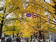 -四川大学(华西校区)