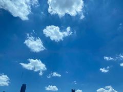 -丽晶轩中餐厅(重庆丽晶酒店)
