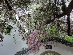 -深圳国际园林花卉博览园