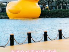 -深圳人才公园