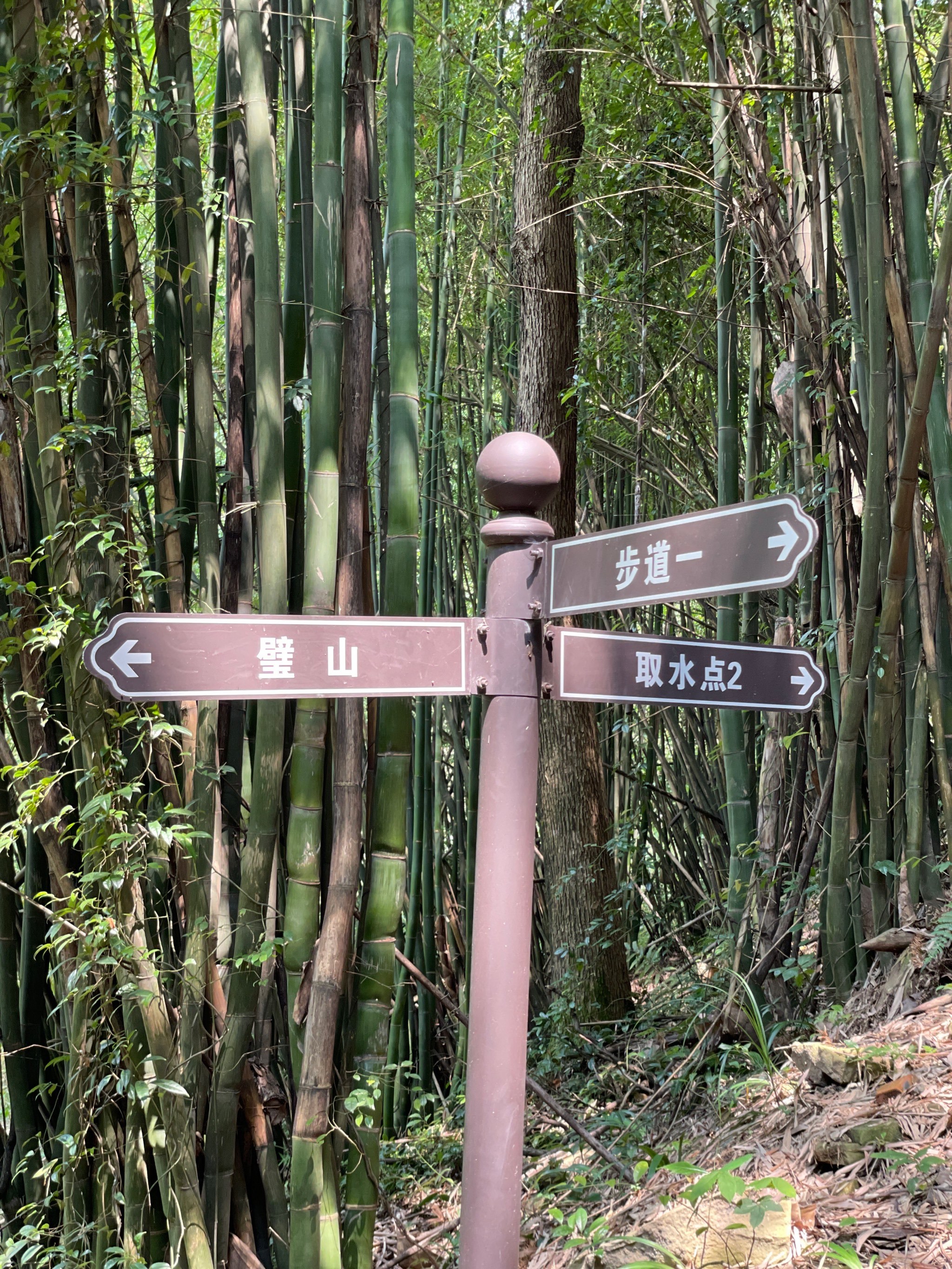 交通:高德导航"金剑山森林公园",能直接-大众点评