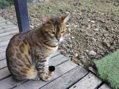 -雪茄客PURAVIDA俱乐部(上海店)