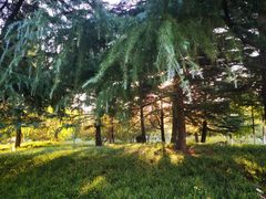 -济南国际园博园