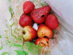 -雪儿钱局泡菜