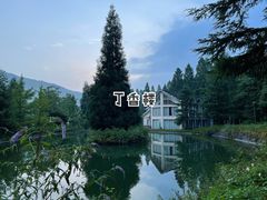 -武陵山森林公园
