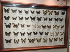 -吉林省自然博物馆