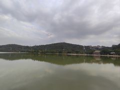 -顺峰山公园