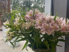 -甜阿姨·天台花园私房菜(万松园店)