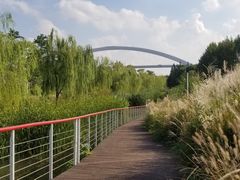 -东浩兰生上海世博展览馆