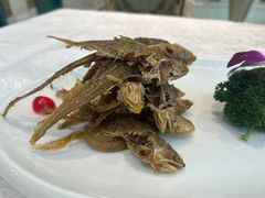 -金米箩大酒店(五角场店)