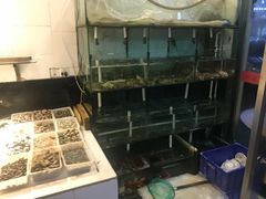 -天天渔港海鲜酒家(石浦玉泉路店)
