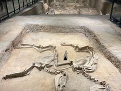 -洛阳周王城天子驾六博物馆