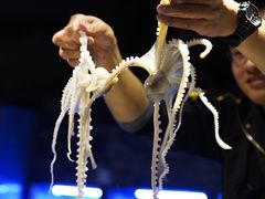 -V-ONE西雅图海鲜自助餐厅(仓山万达广场店)