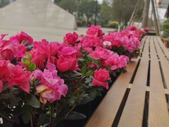 -星巴克(成都科学城店)