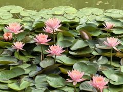 -国家植物园南园