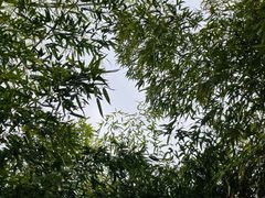 -郑州中国绿化博览园