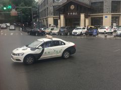 -都江堰中华大熊猫苑