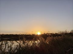 -盐城丹顶鹤湿地生态旅游区