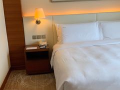 -上海浦东康桥绿地假日酒店