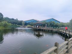 -鄱阳湖国家湿地公园