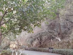 -临平公园(临平街道)