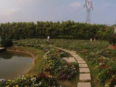 -广东花都香草世界旅游度假区