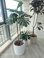 -HEYAN荷妍专业脱毛连锁机构