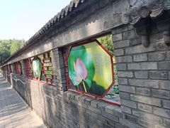-莲花池公园