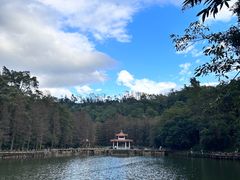 -深圳仙湖植物园