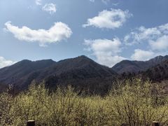 -黑河国家森林公园