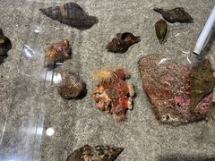 -鹿儿岛水族馆