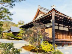 -豆政(金閣寺境内売店)