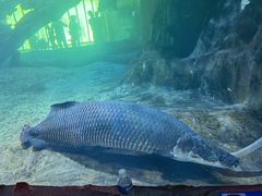 -华夏文旅海洋公园