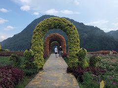 -广州市石门国家森林公园