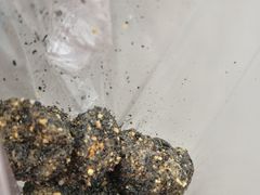 -叶氏麻糍(鼓浪屿店)