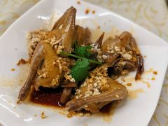 -百利鸽王(紫薇路店)