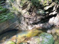 -牛背梁国家森林公园