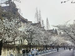 -Beans Solo豆号咖啡(百家湖花园店)