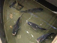 -赴宴楼(鸠兹古镇店)