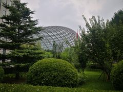 -凤凰中心