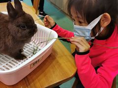 -藦茜花园宠物主题亲子互动体验馆(国顺东路店)