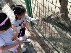 -石家庄市动物园