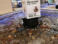 -盒马X会员店(上海森兰商都店)