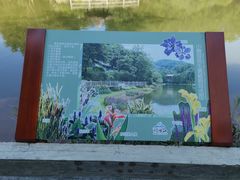 -广州市帽峰山景区