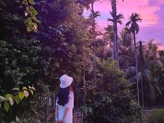 -兴隆槟榔园休闲农庄