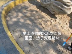 -宁波儿童公园(鄞州区)