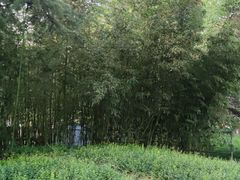 -丰台花园