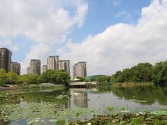 -新江湾城公园