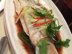 清蒸魚-文兴酒家(Chinatown - Gerrard Street)